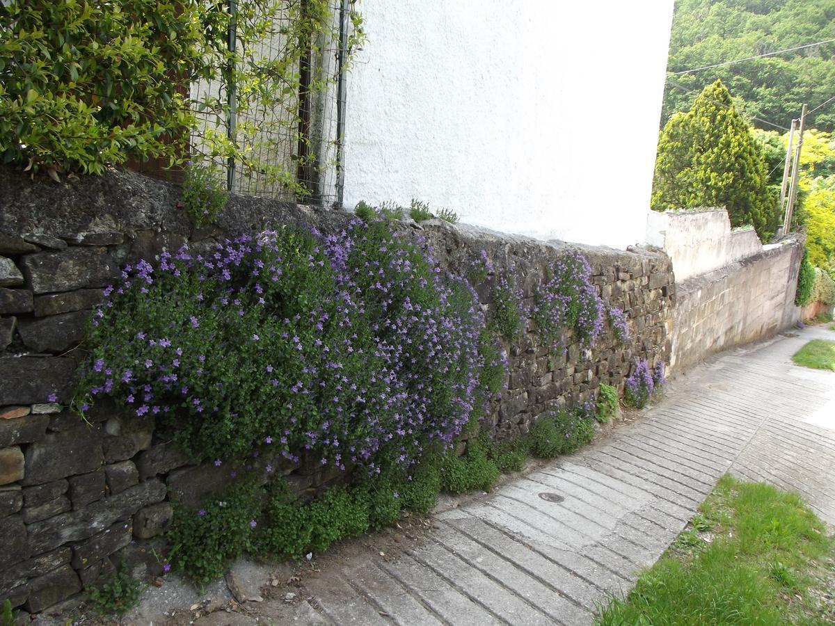 Rio Farneto B&B Longera Exteriér fotografie